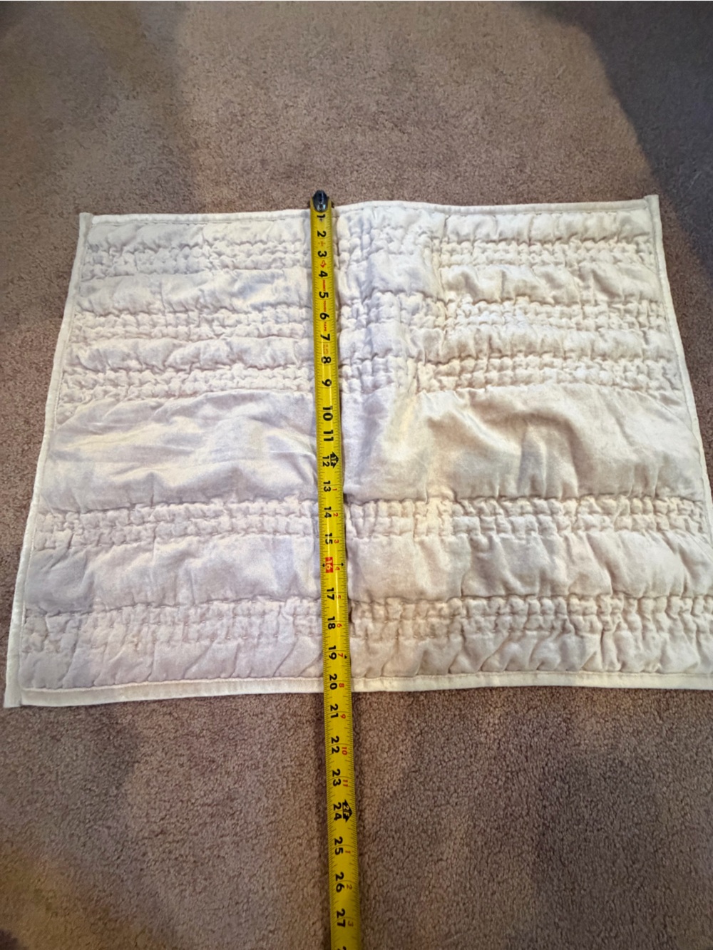 Anthropologie lustered velvet Alastair pillow cover sham cream pearl beige - Picture 8 of 10